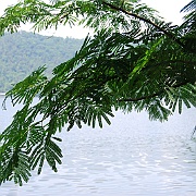 Picture 012
